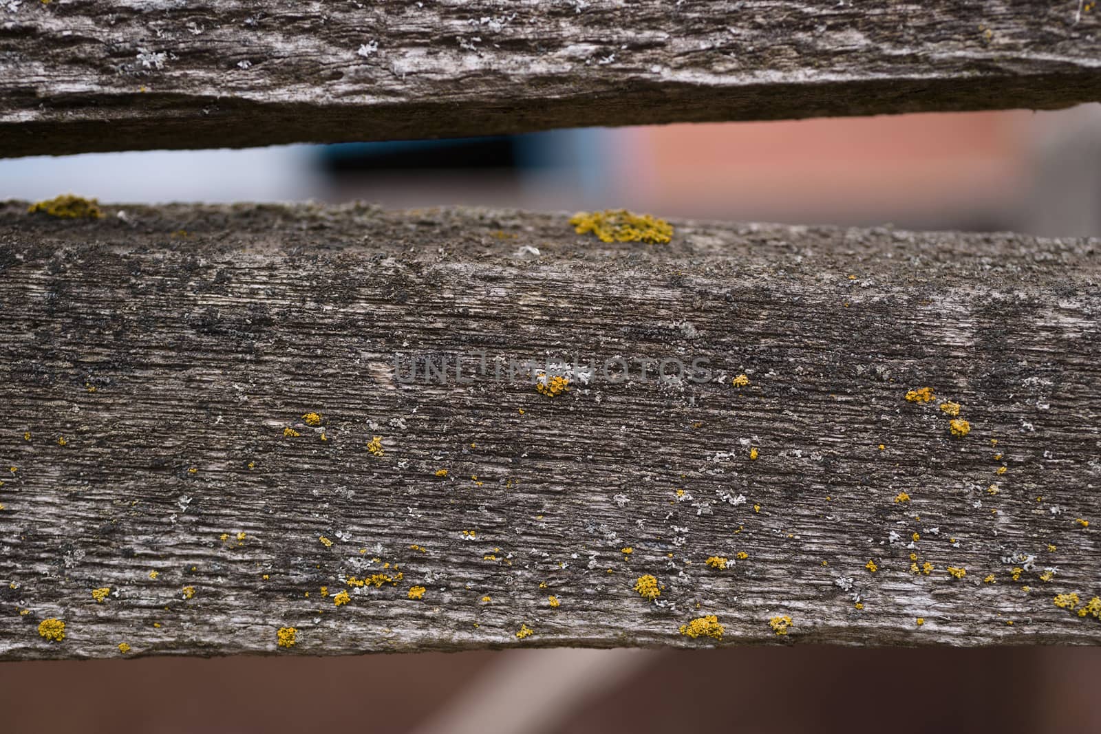 Old wooden texured surface closeup. Moss and relief on surface. Stock photo of old wooden pattern of aged boards with moss. Brown and gray colors on photo.