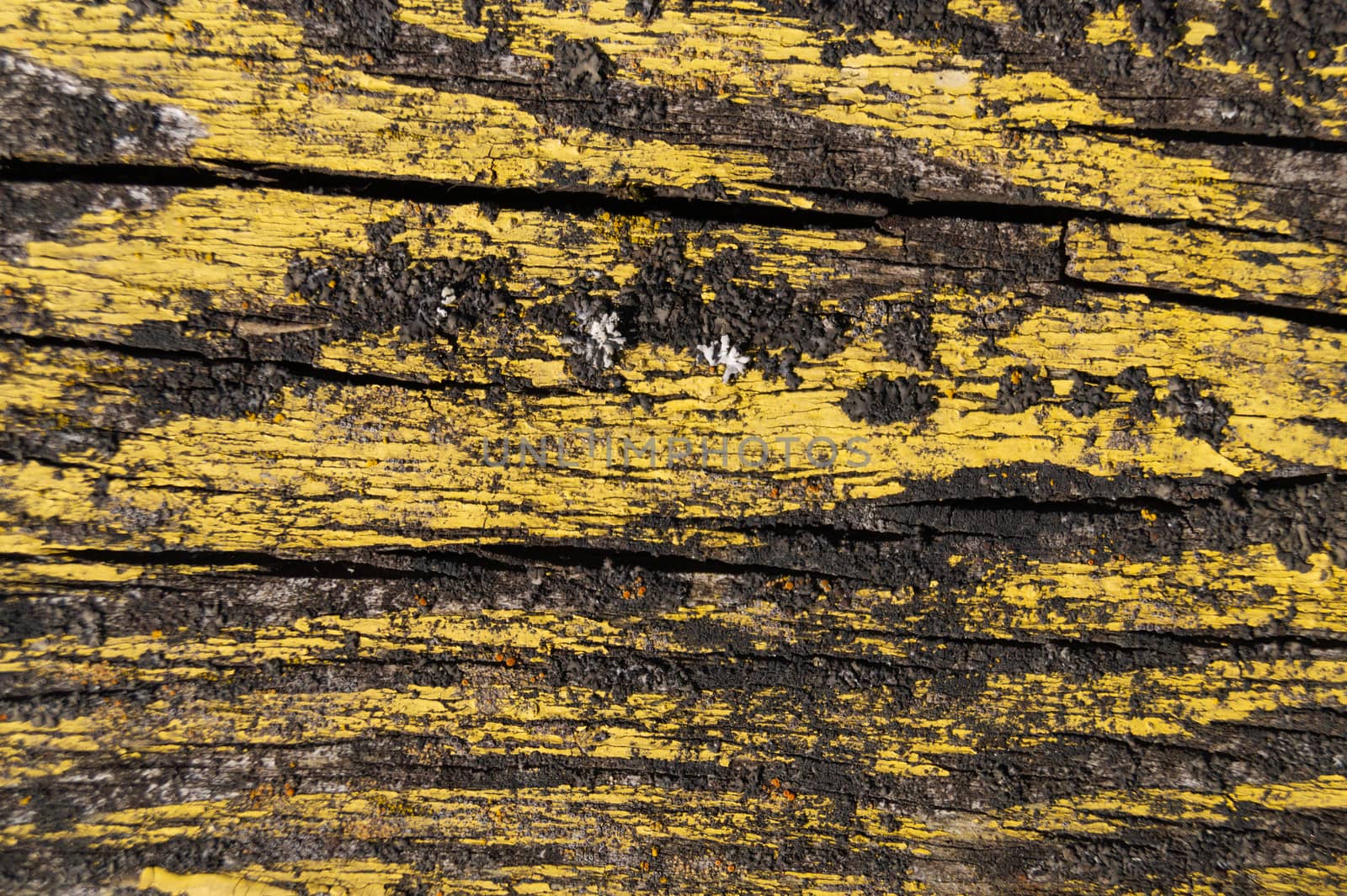 A part of old yellow wooden fence. The yellow paint on wood is old and cracked. Perfect painted wooden texture. by alexsdriver