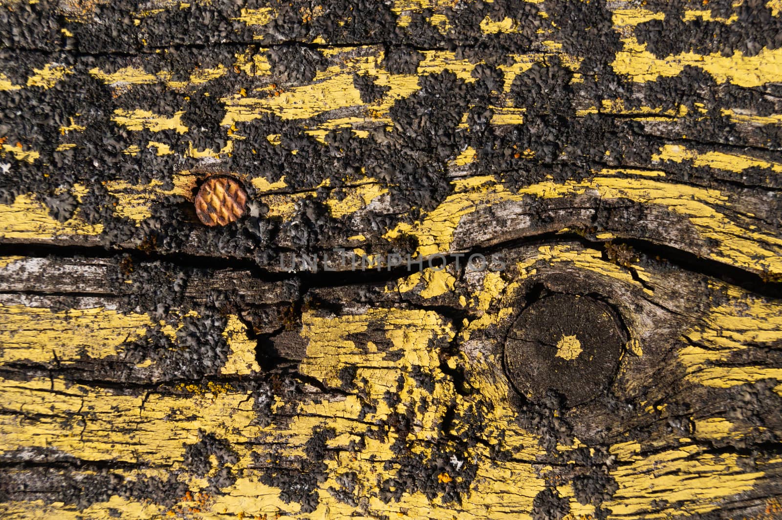 A part of old yellow wooden fence. The yellow paint on wood is old and cracked. Perfect painted wooden texture. by alexsdriver