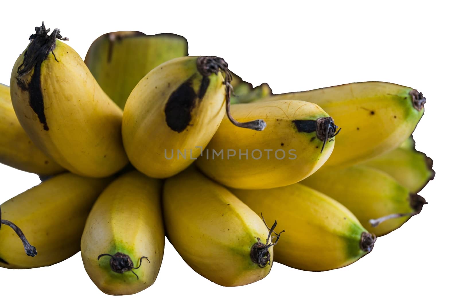 The Bunch of bananas isolated on white background