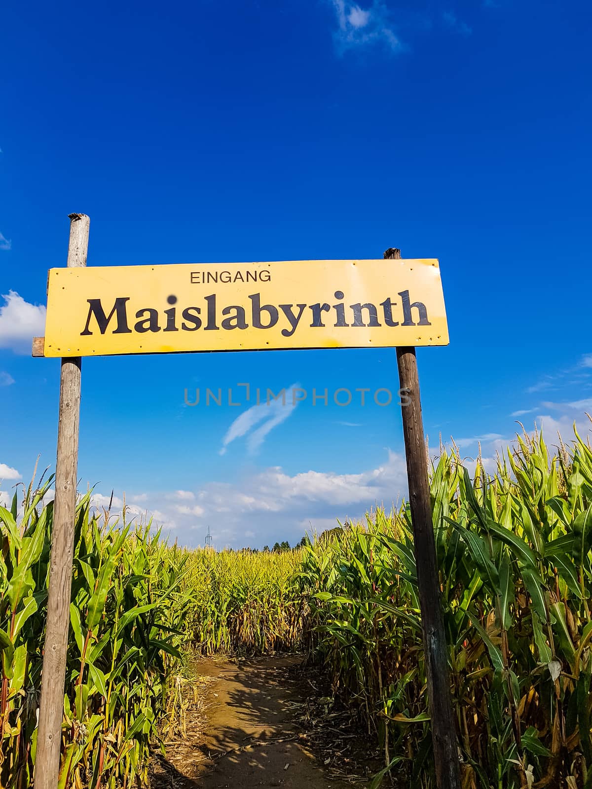 Entrance to a giant halloween corn maze          by JFsPic