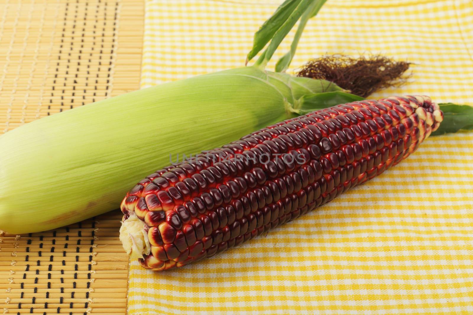 Fresh purple corn fruits on napery background. 