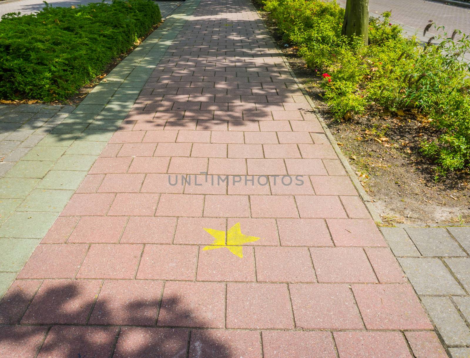 pavement red stones cycling road with hollywood star by charlottebleijenberg