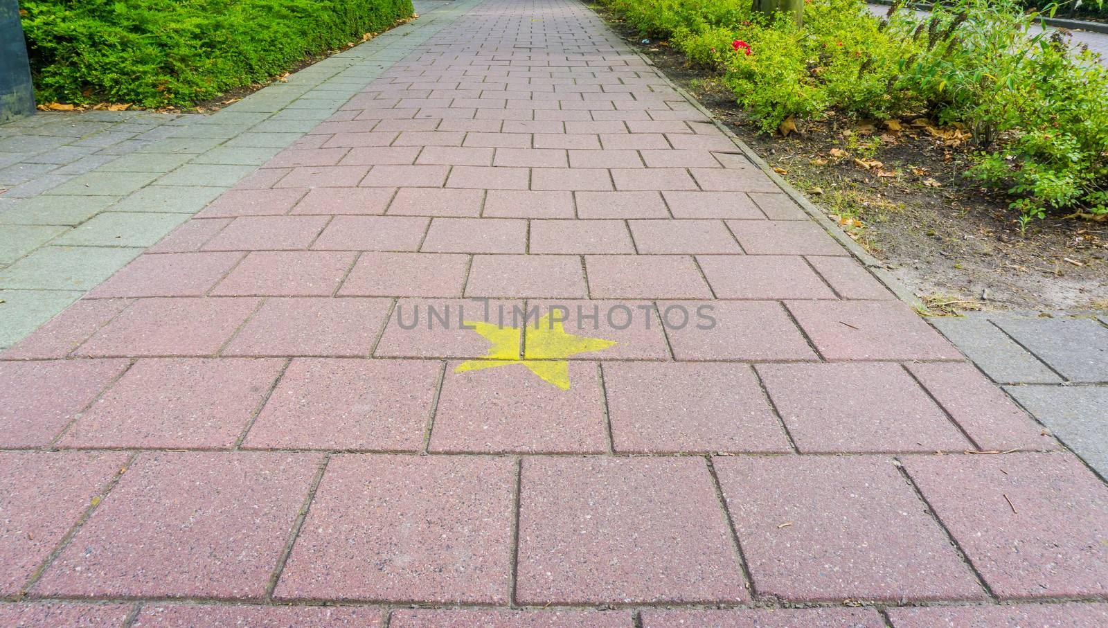 stone cycling road with hollywood star close up by charlottebleijenberg