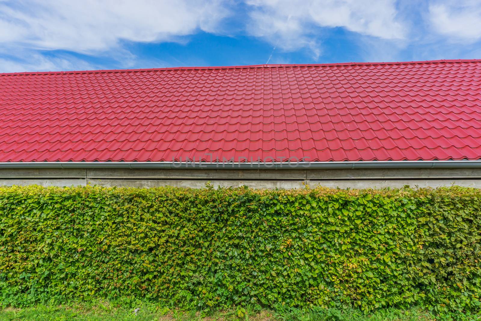 building with red rooftop tiling and hedge by charlottebleijenberg