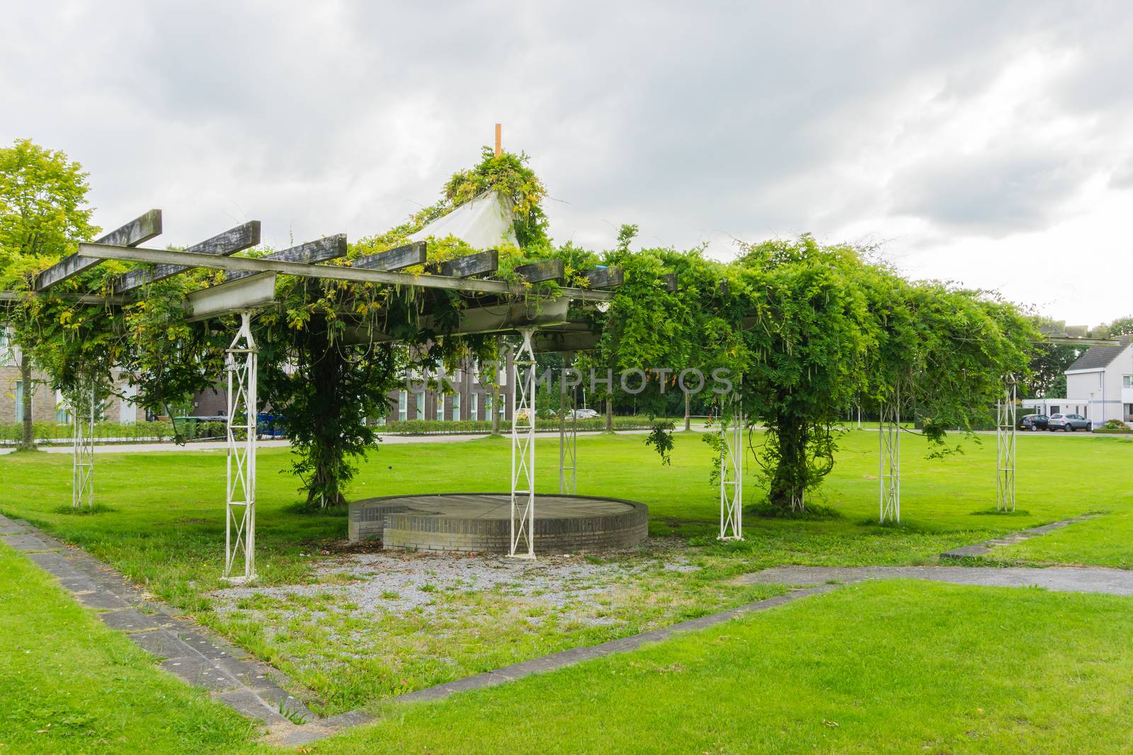 bean tree in the park distance view by charlottebleijenberg