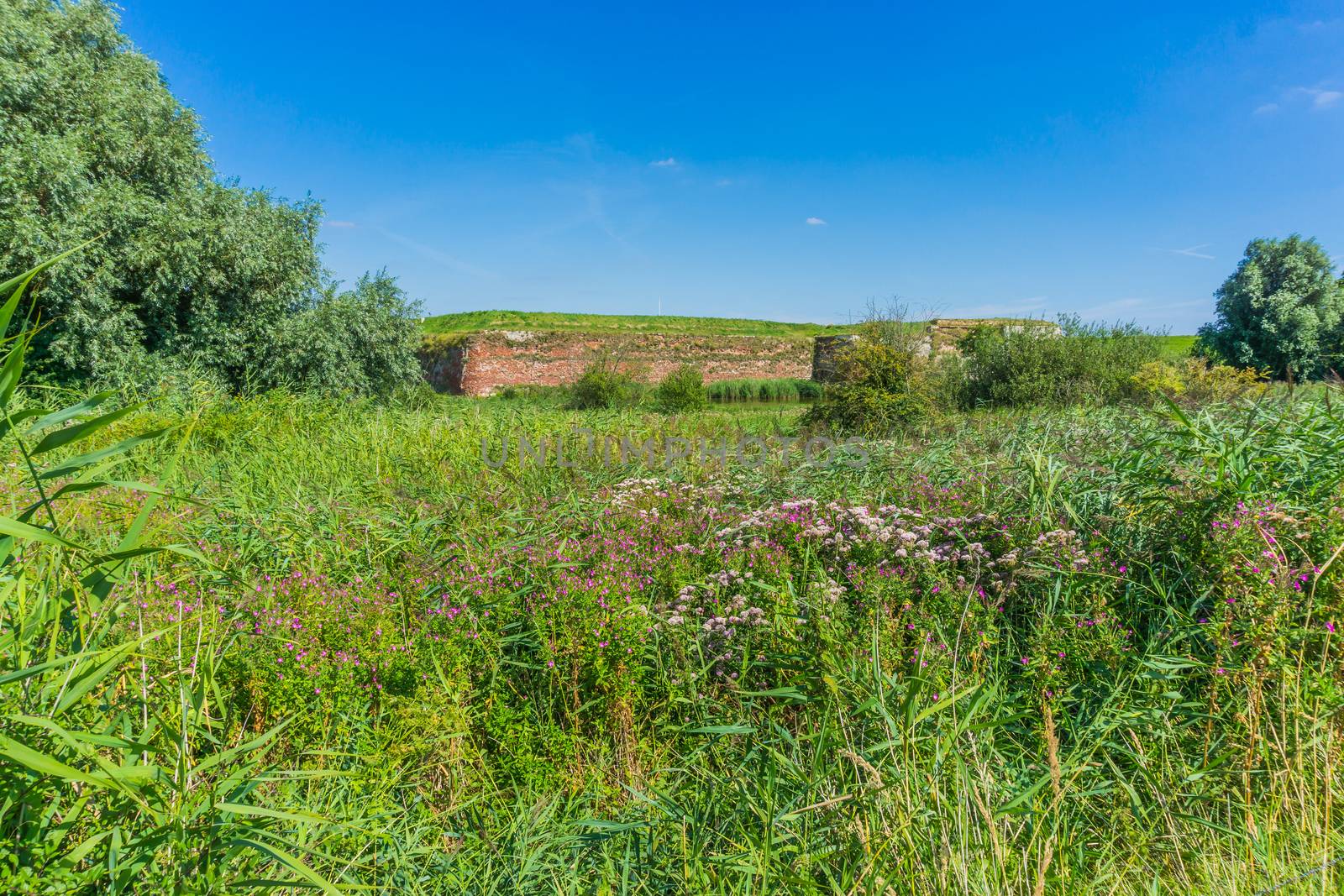 green beautiful countryside landscape by charlottebleijenberg