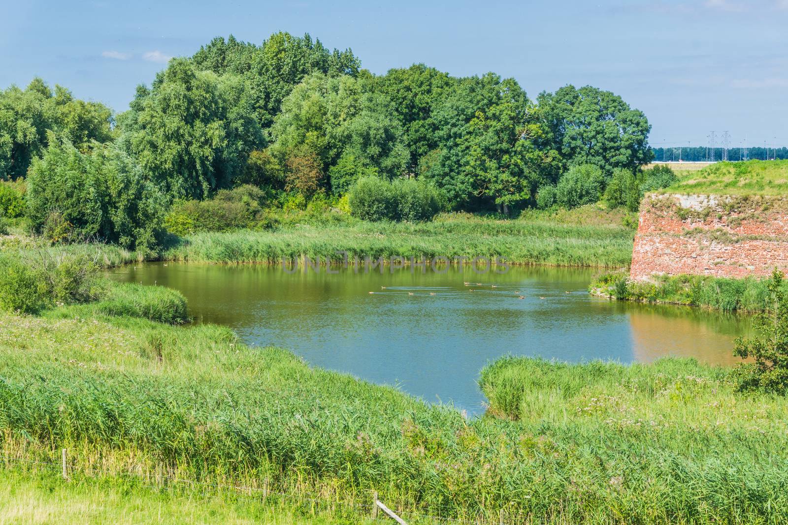 water lake forest landscape