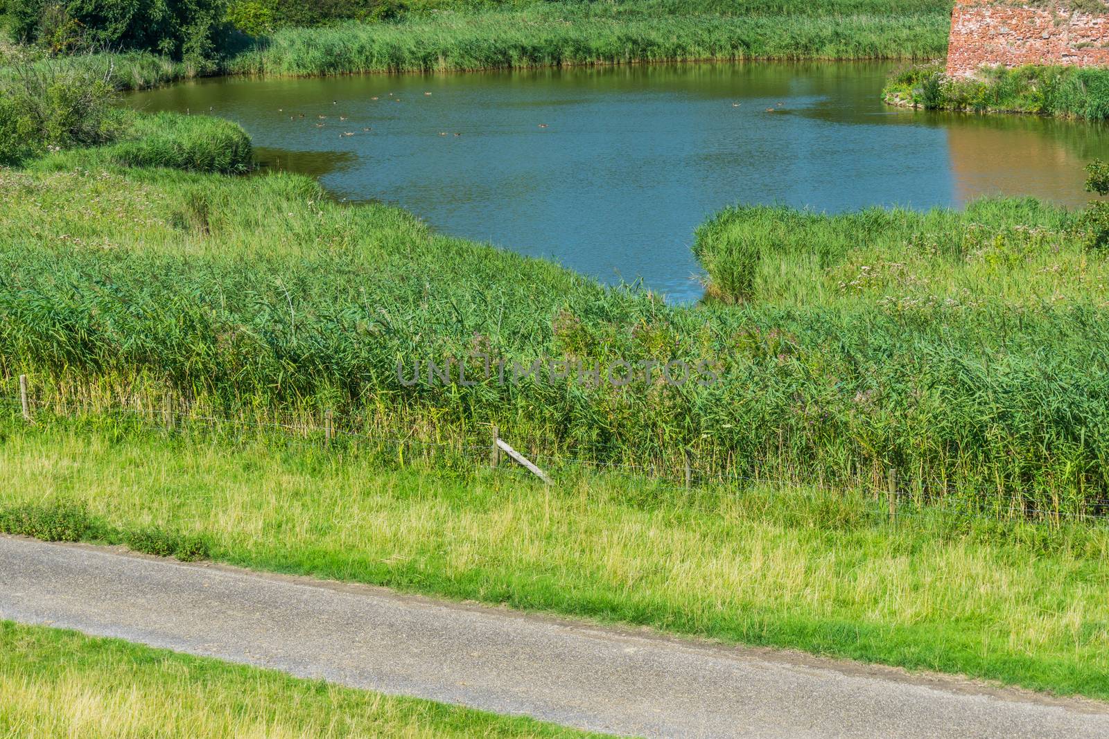 big pond with road