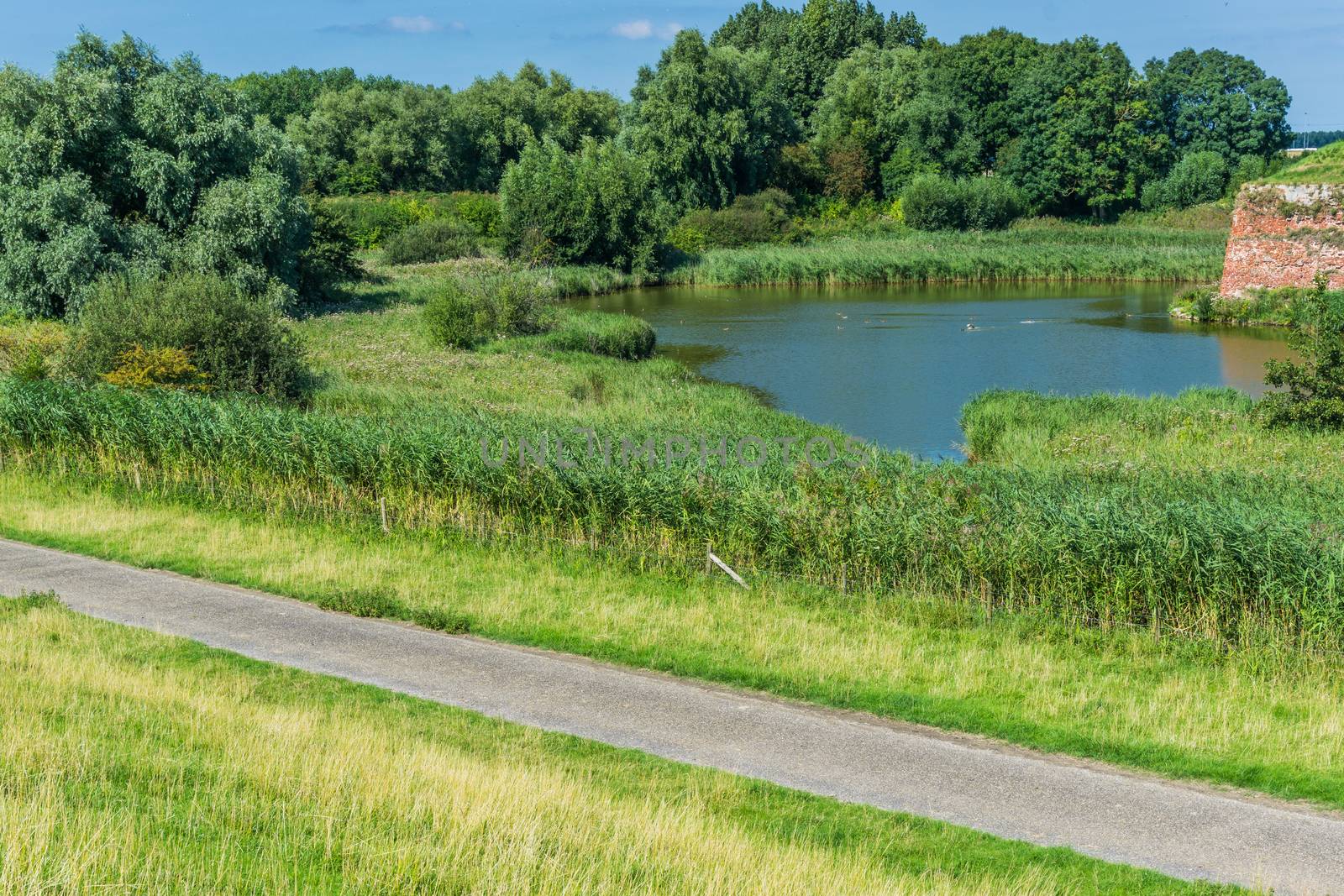 road with pond view by charlottebleijenberg