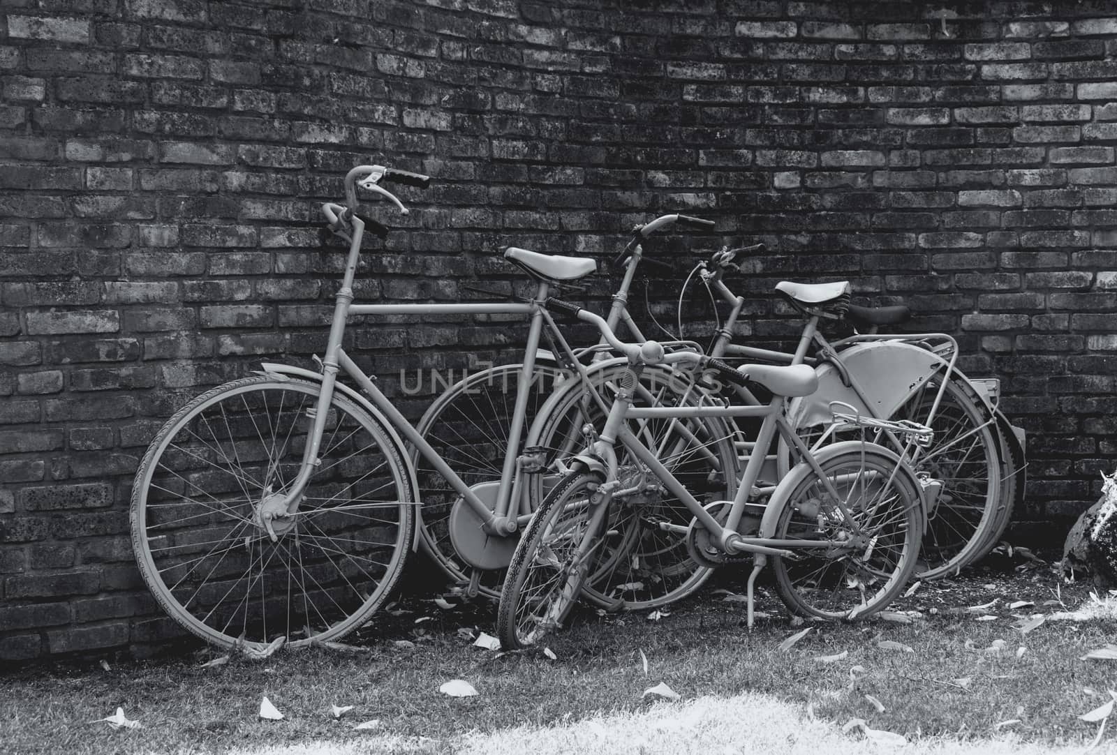 three bikes grass in front of a stone wall in black and white