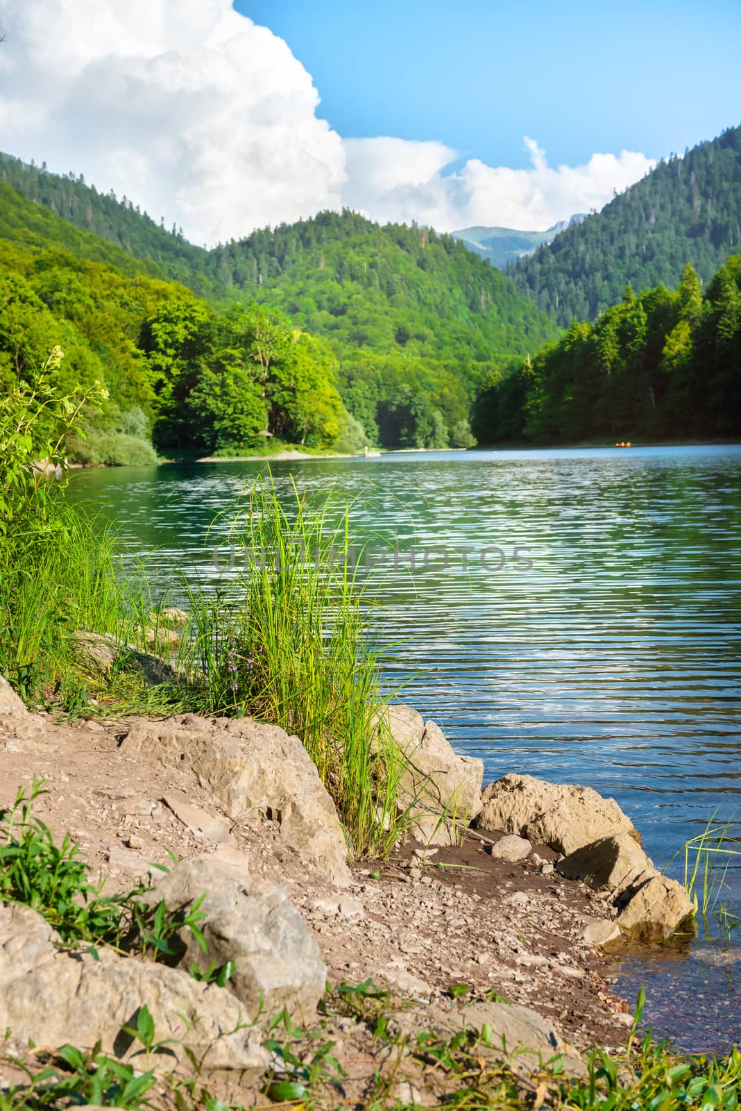 Lake in park of Montenegro by Givaga