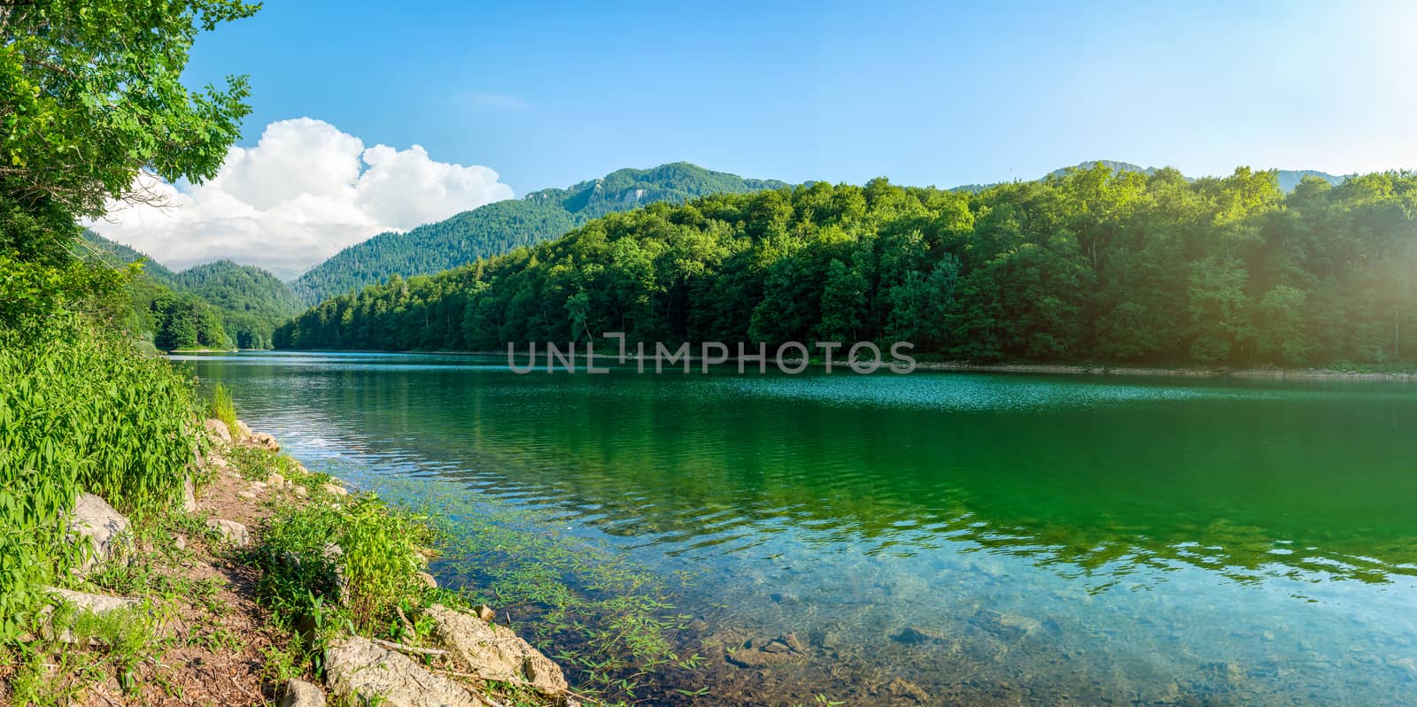 Biogradsko lake in the national park Biogradska Gora Montenegro