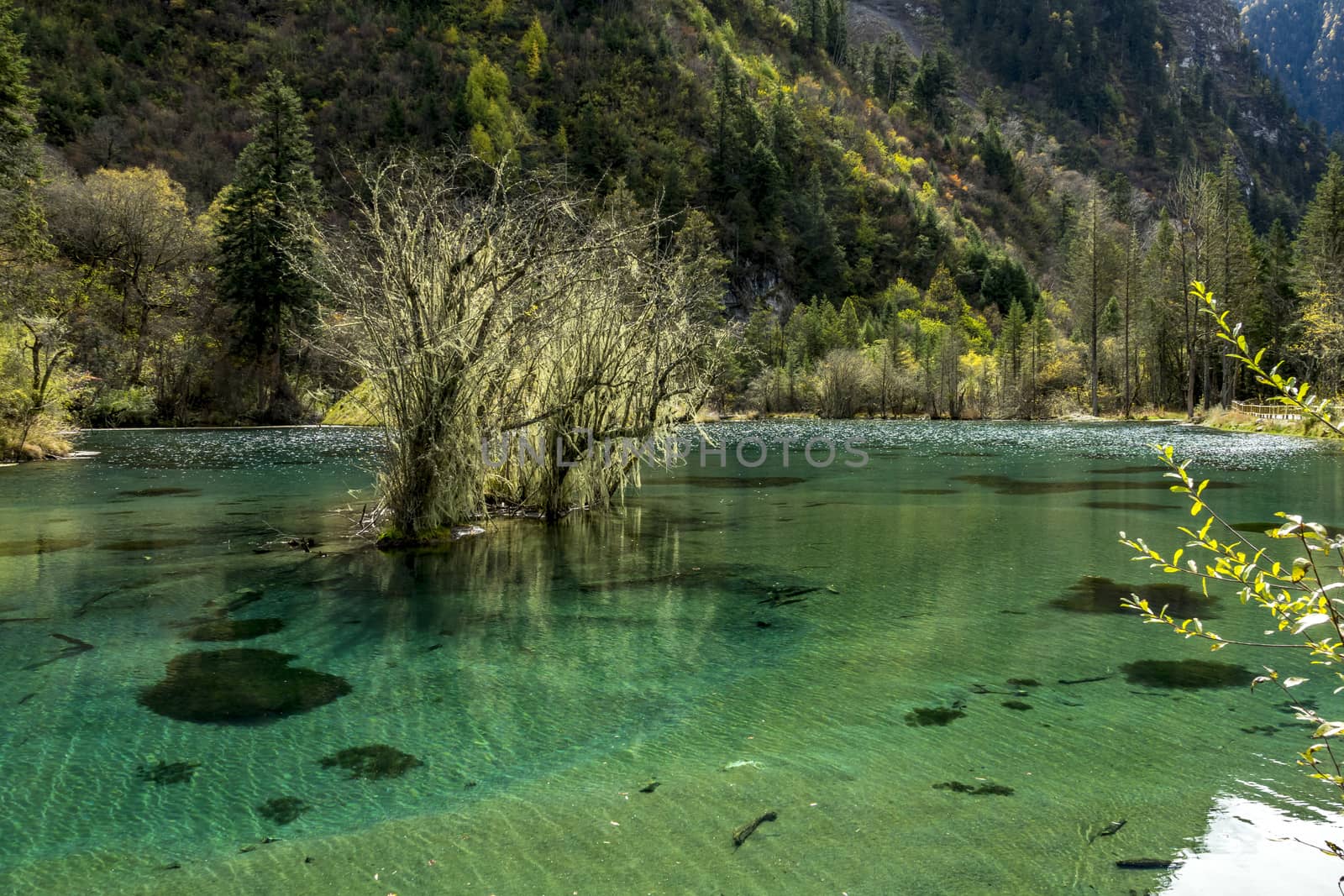 The beautiful autumn scenery of bipeng ditch by JasonYU