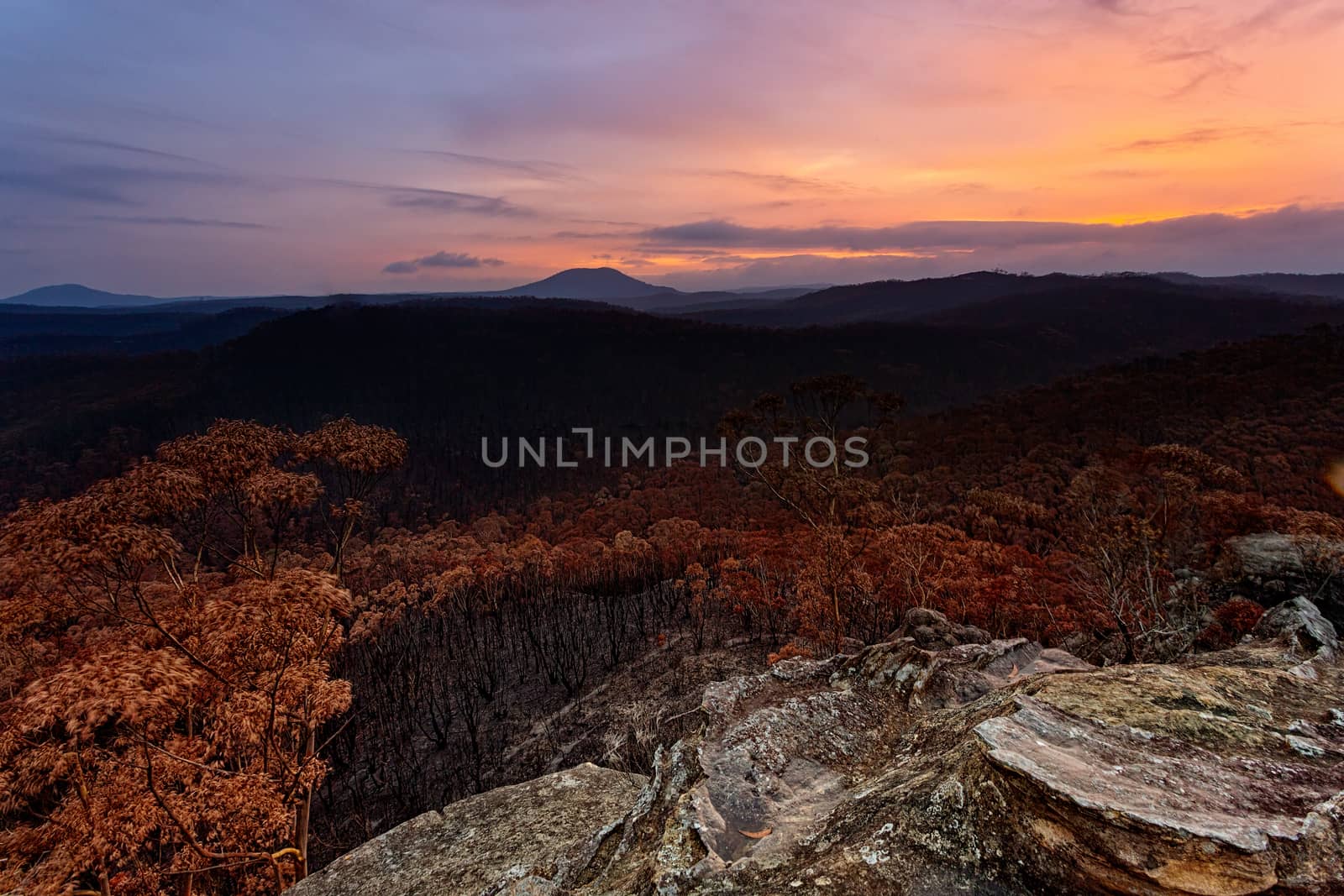 Sunset over charred landscape after bush fires in Australia by lovleah