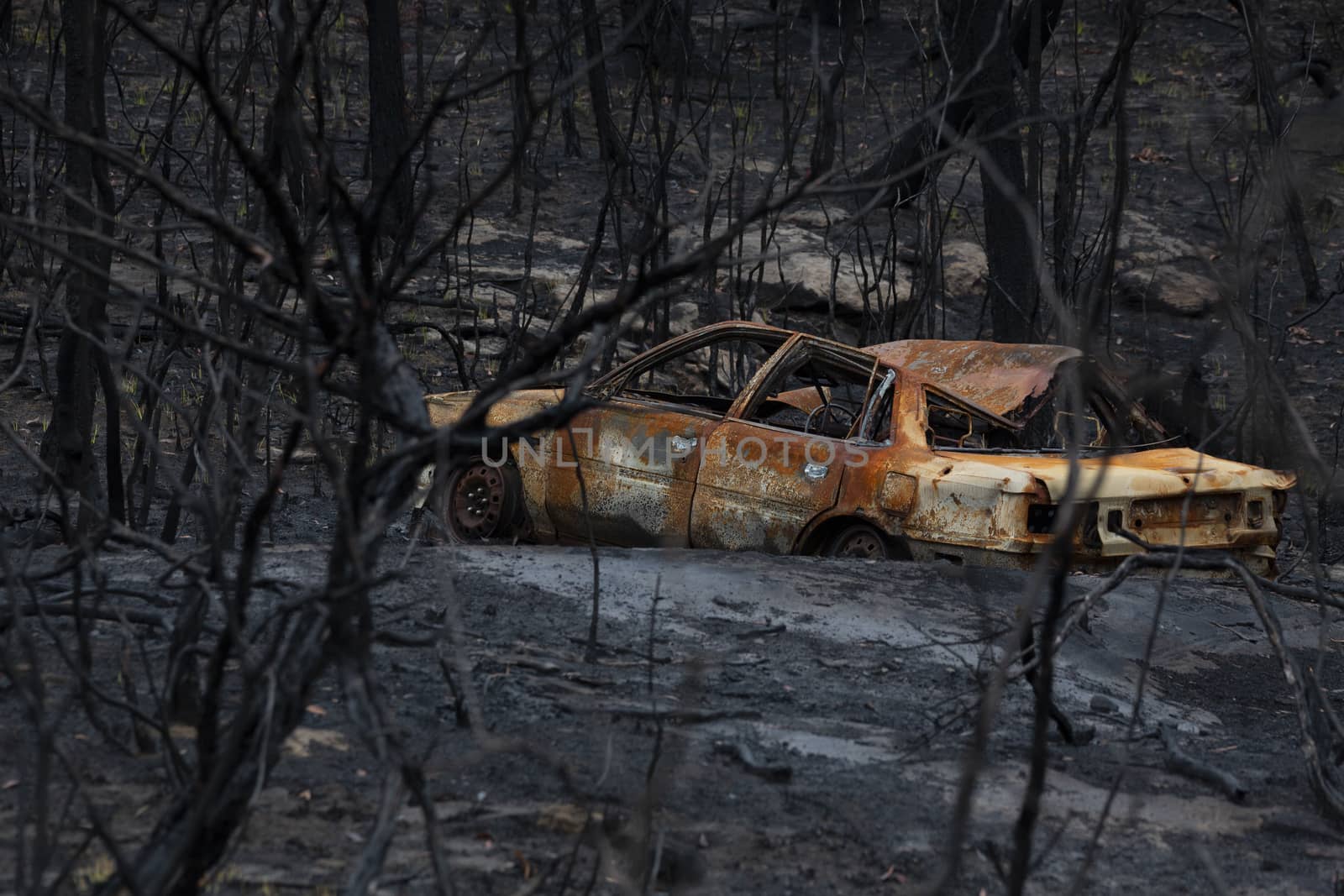 an old abandoned dumped car is burnt out during bush fires in Australia