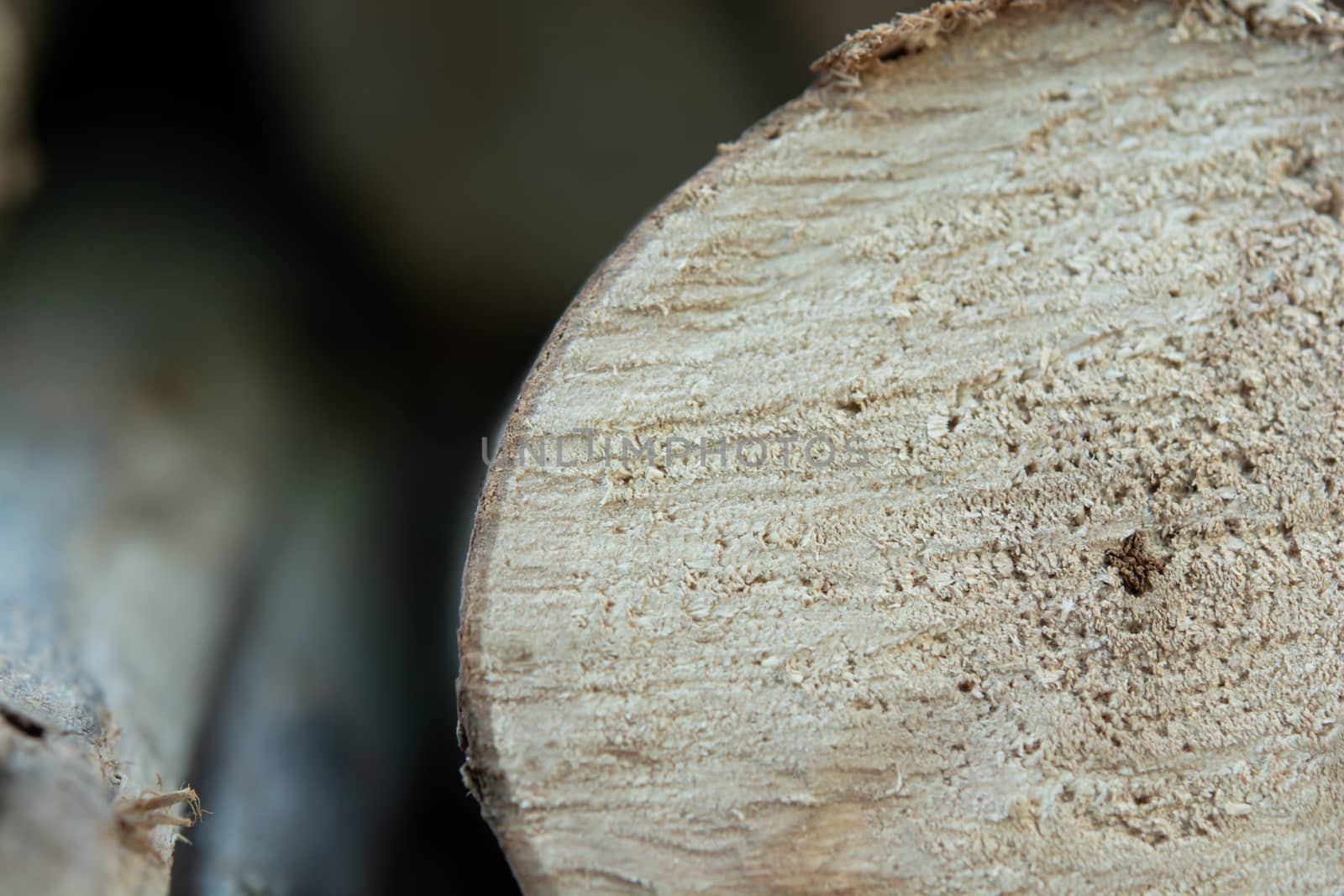 Wooden logs stack, tree stumps background