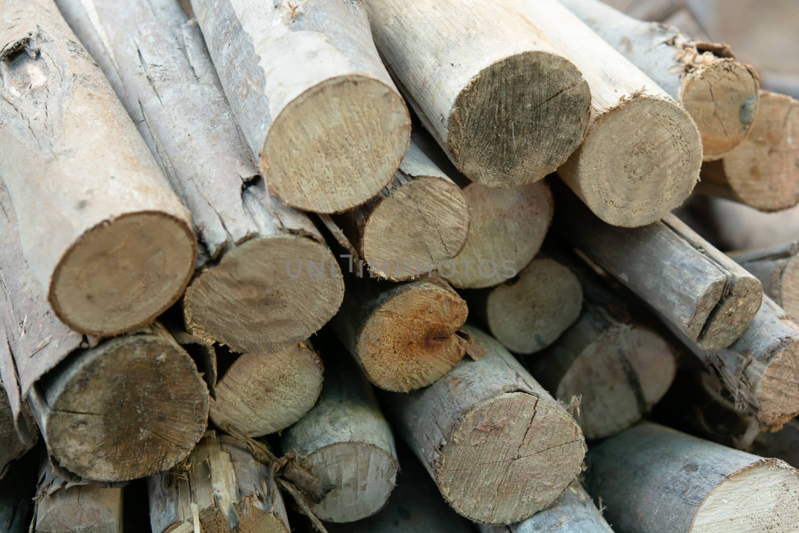 Wooden logs stack, tree stumps background