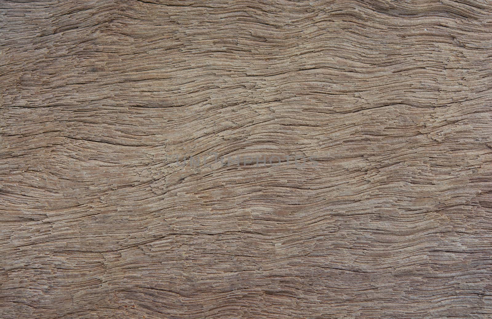 Old plank wood texture background. wood surface eroded as background
