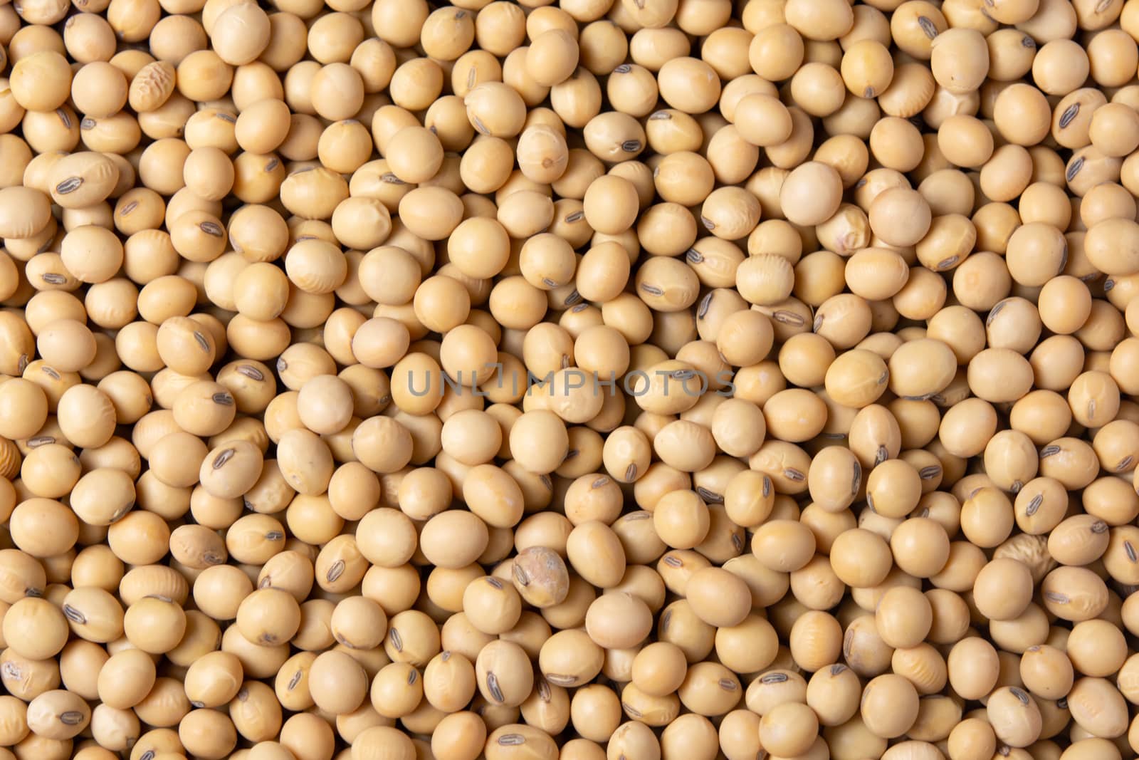 Soybean pattern as for background

