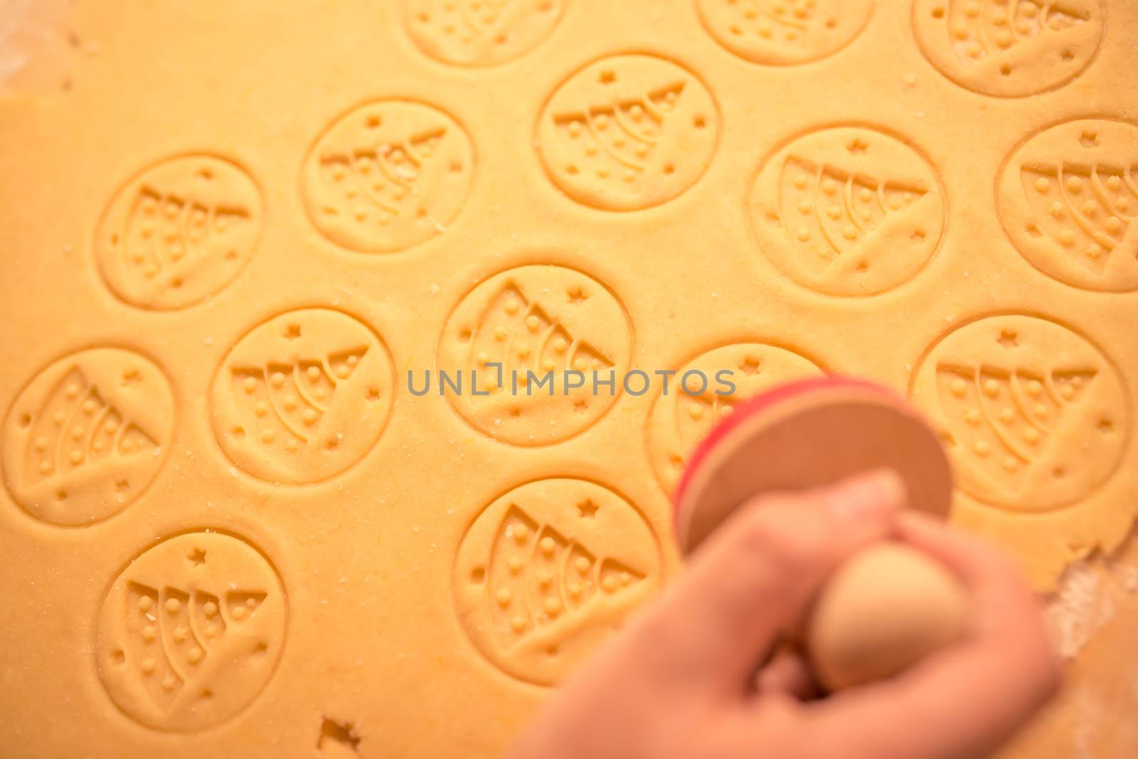 Gingerbread dough for Christmas cookies and cookie stamp in womans hand. Christmas tree themed stamp, nice christmas dough texture. by petrsvoboda91