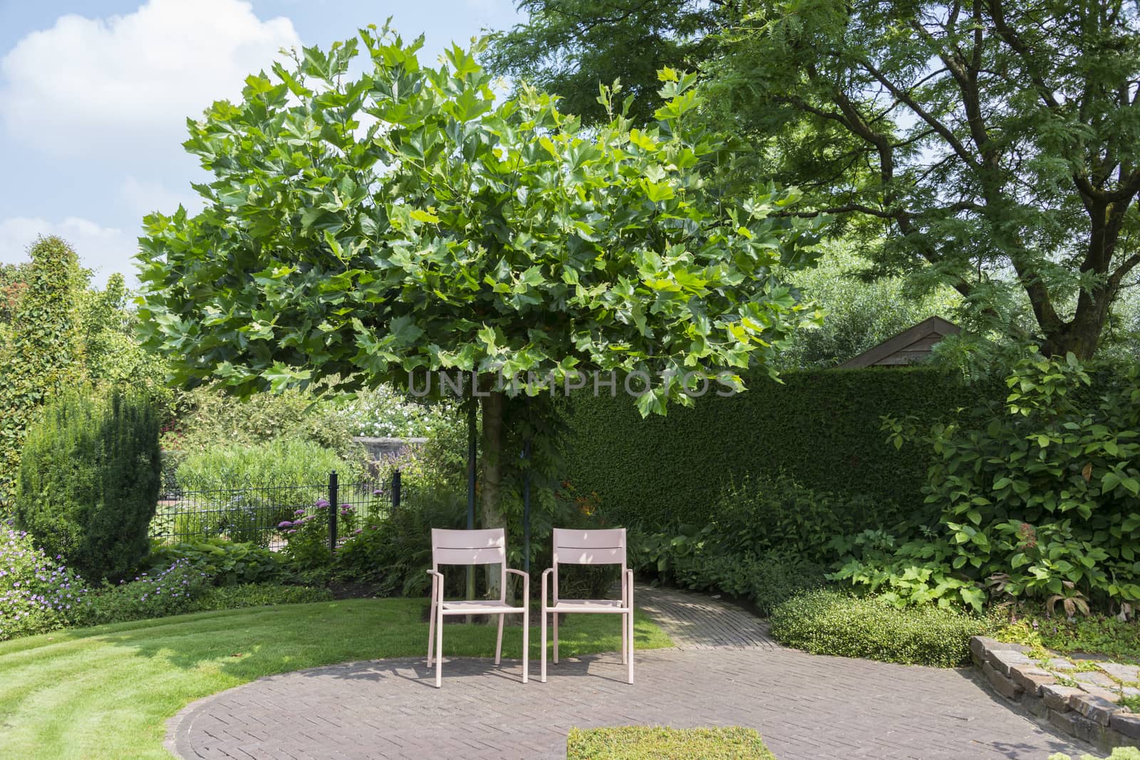 two pink furniture plastic chairs in garden witch background of bgreen tree and plants