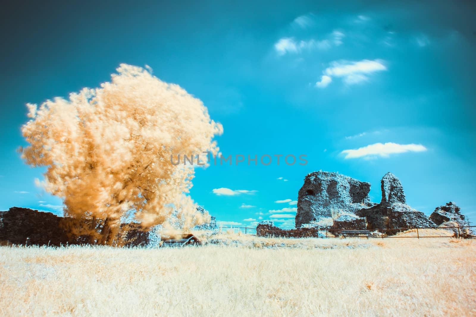 Ruins of gothic medieval castle Lichnice in infrared spetrum, IR photography, Iron Mountains, Pardubice region, Czech republic. Castle ruins. by petrsvoboda91