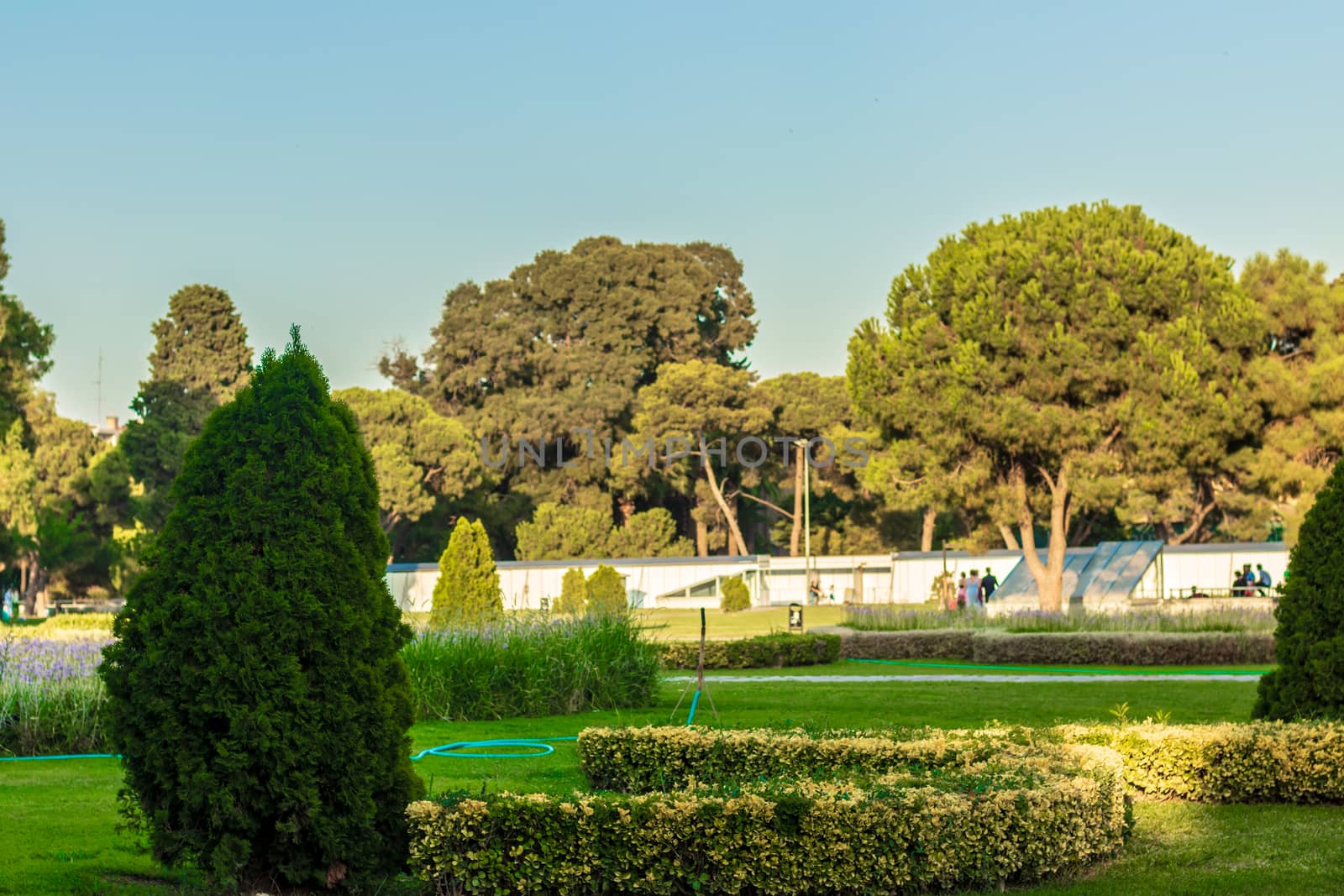 a wide landscape shoot from a very nice looking green park. photo has taken at izmir/turkey.