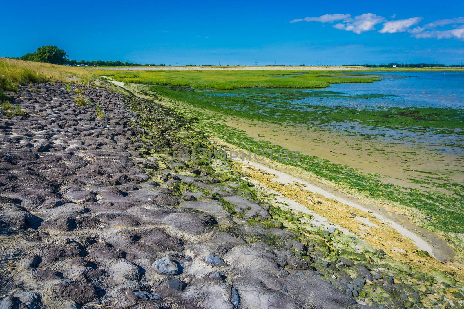 rocky sea landscape by charlottebleijenberg