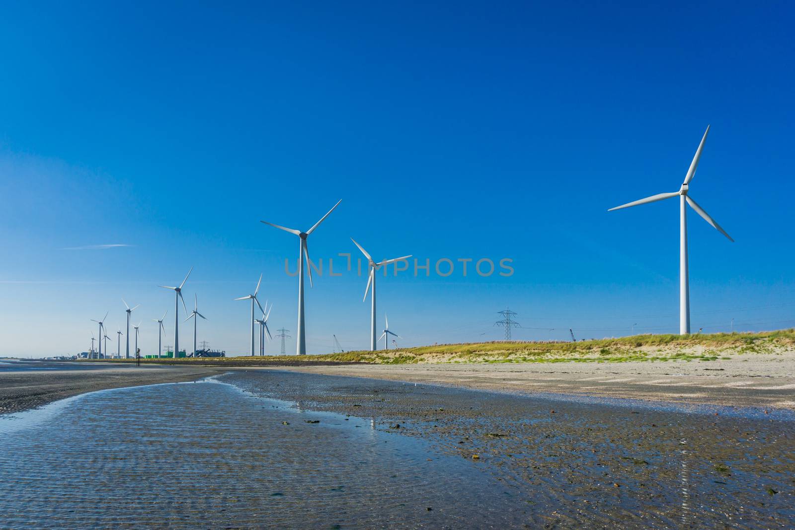 wind mill park in a beach landscape