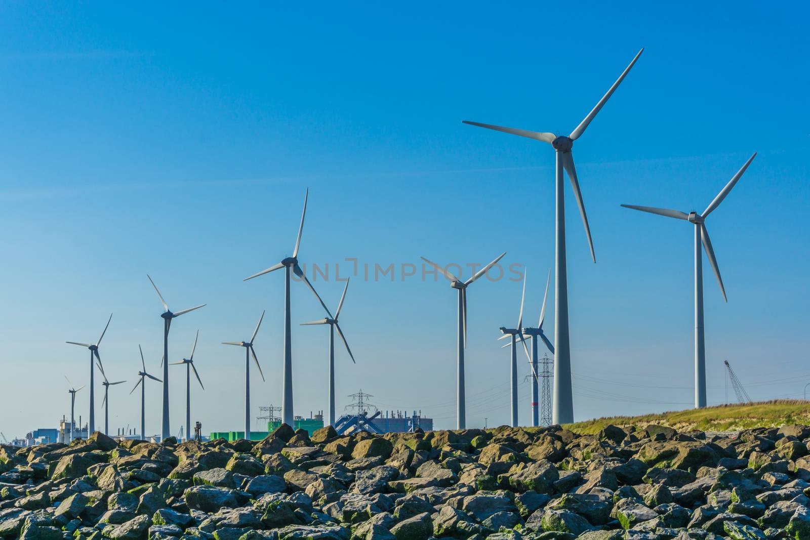 wind mill park on the beach close view