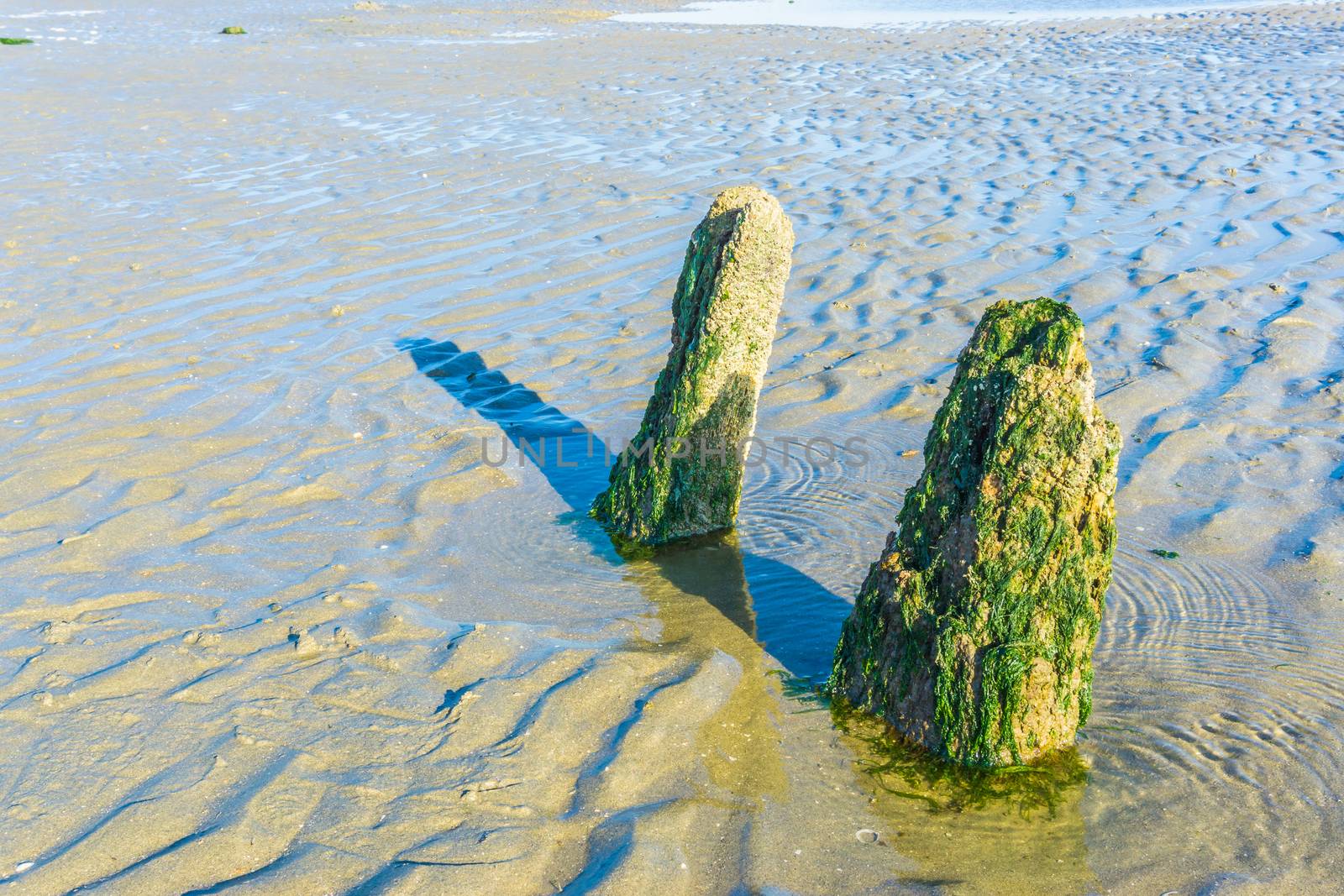 two big rocks covered in seaweed on the beach ocean landscape by charlottebleijenberg