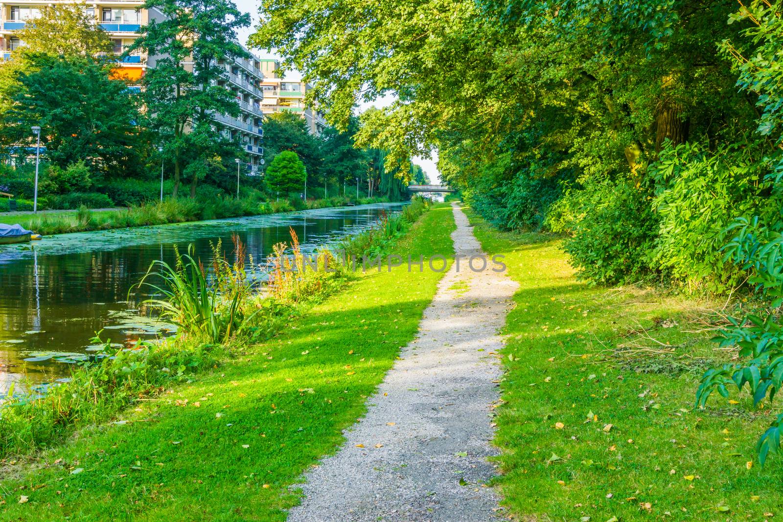 long walking path in beautiful water lake park landscape by charlottebleijenberg