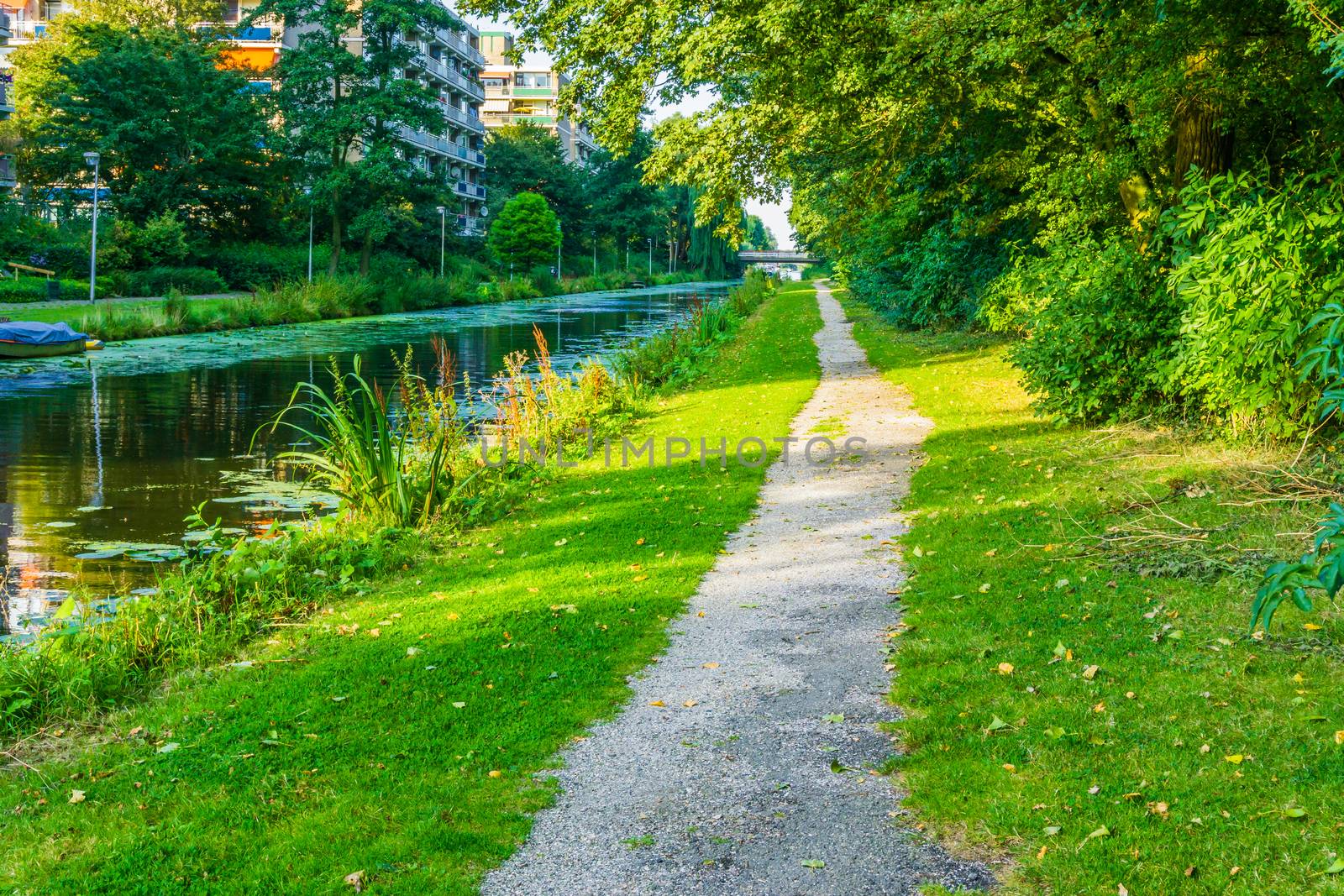 Walking road with green grass beautiful pond and trees