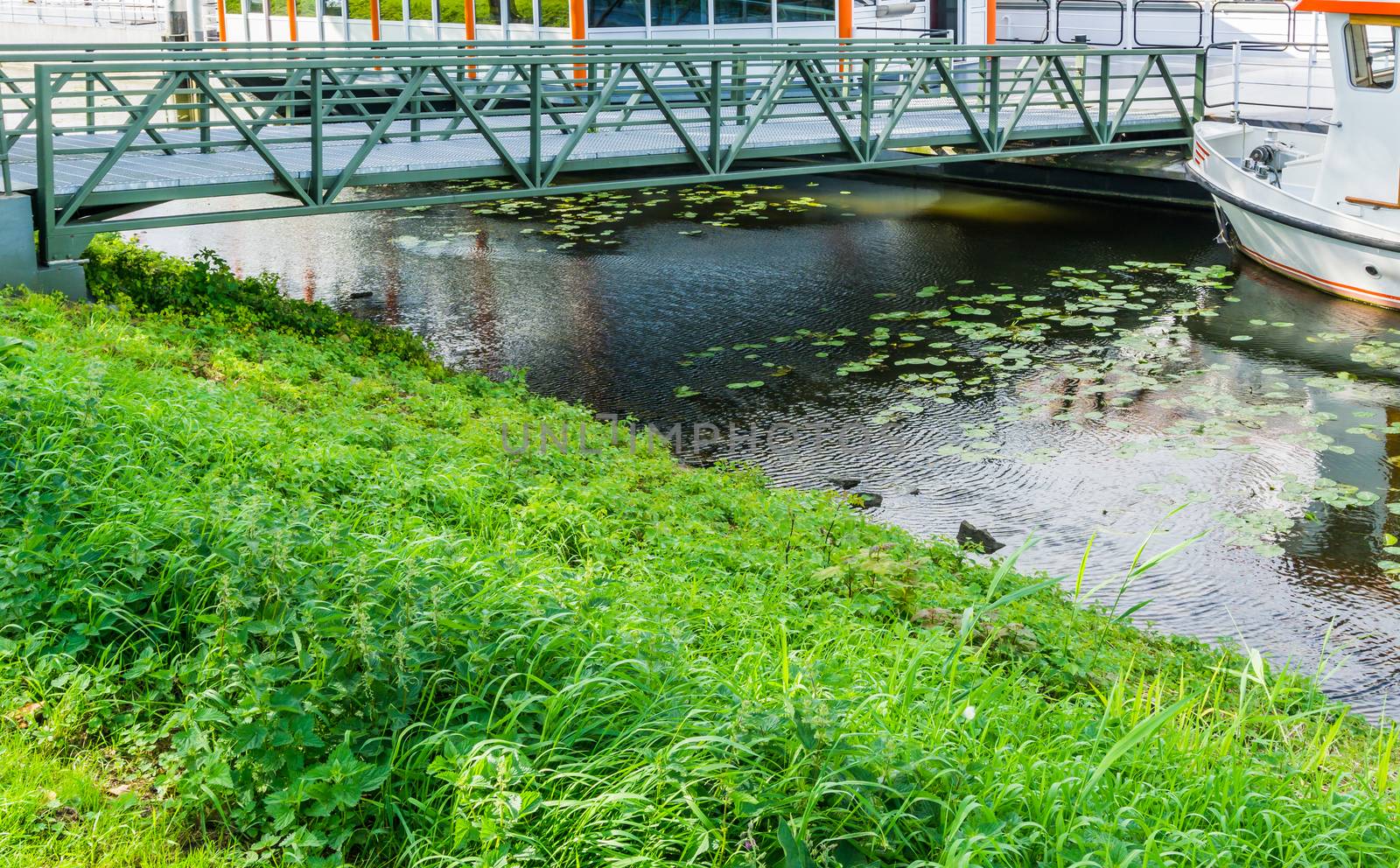 iron bridge in a river pond landscape by charlottebleijenberg