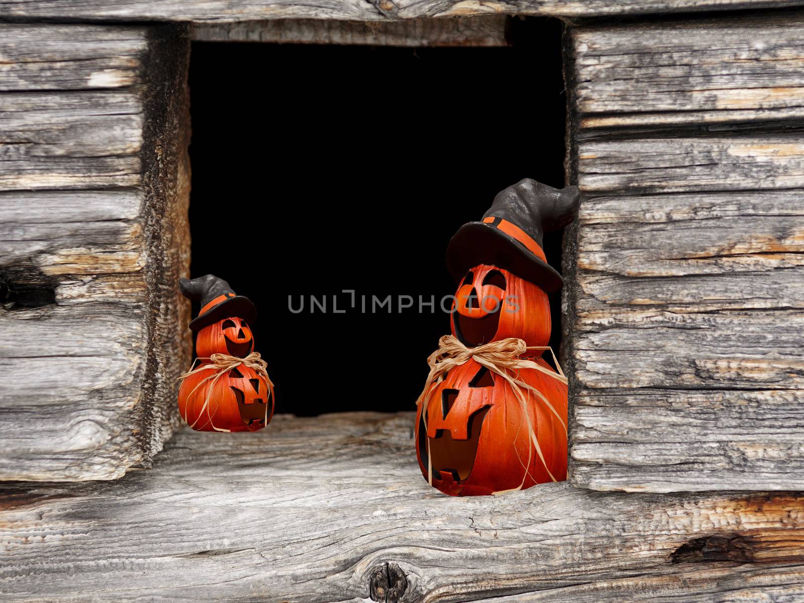 Halloween window frame with pumpkins wearing a witch hat by charlottebleijenberg