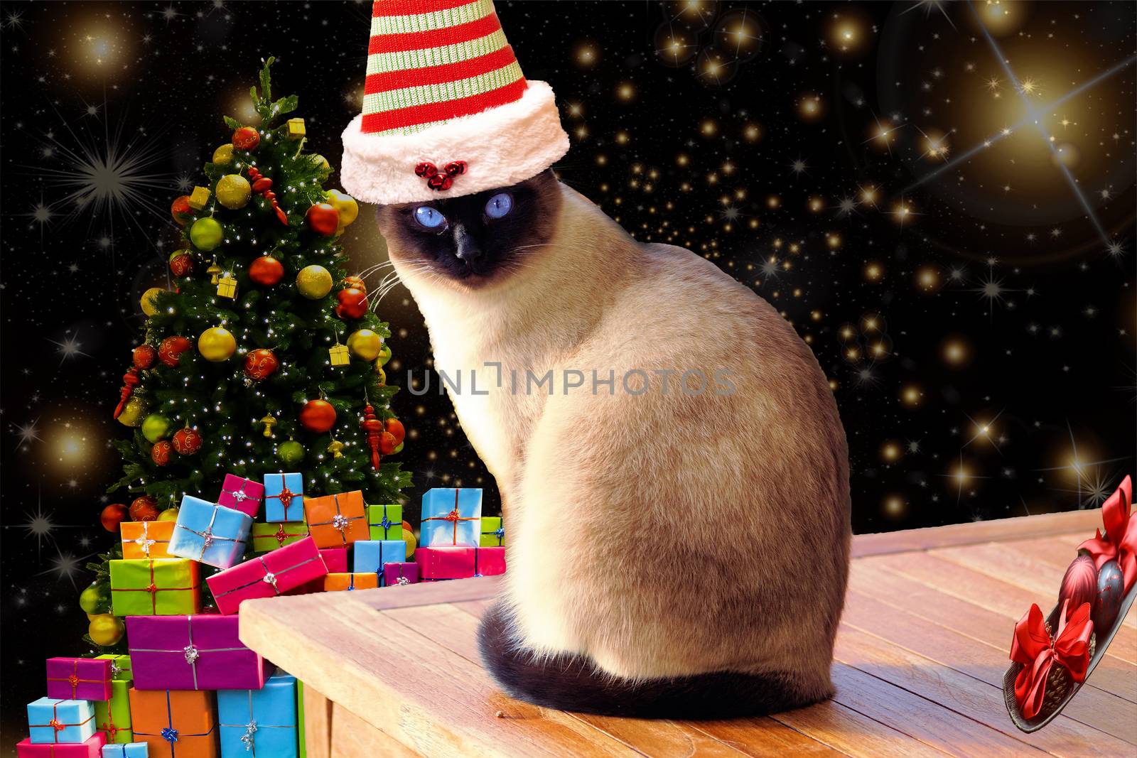 Christmas funny and cute cat on a table wearing a striped elf hat with christmas background