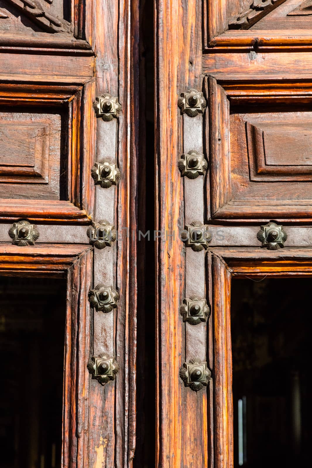 Old wood texture with the woodworm holes