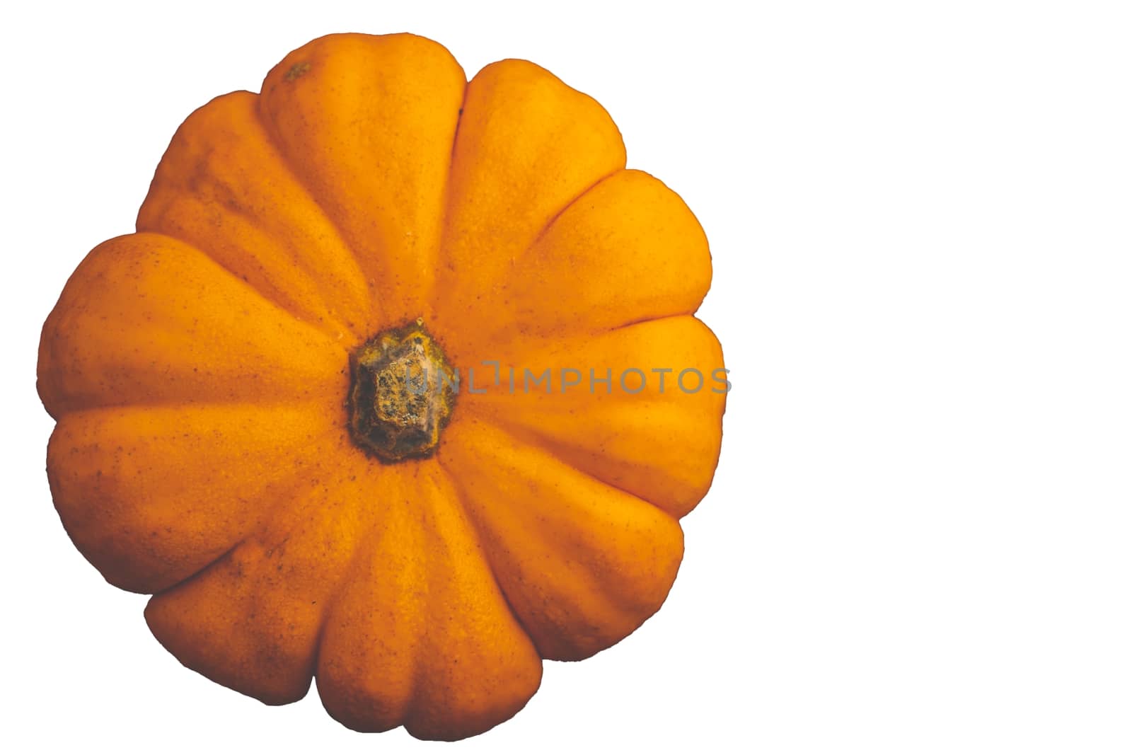 Single fresh orange miniature pumpkin isolated on white background by peerapixs