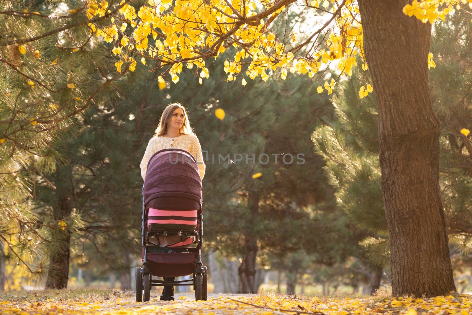 Young girl on a walk with a stroller