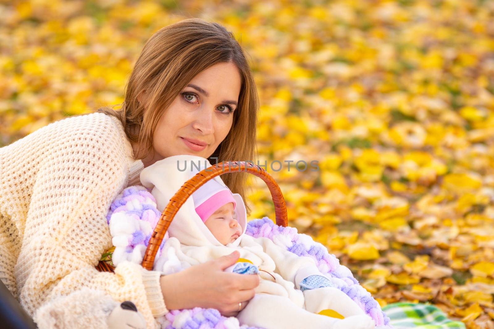 Mom and baby sleeping in basket against the background of yellow fallen foliage in the park
