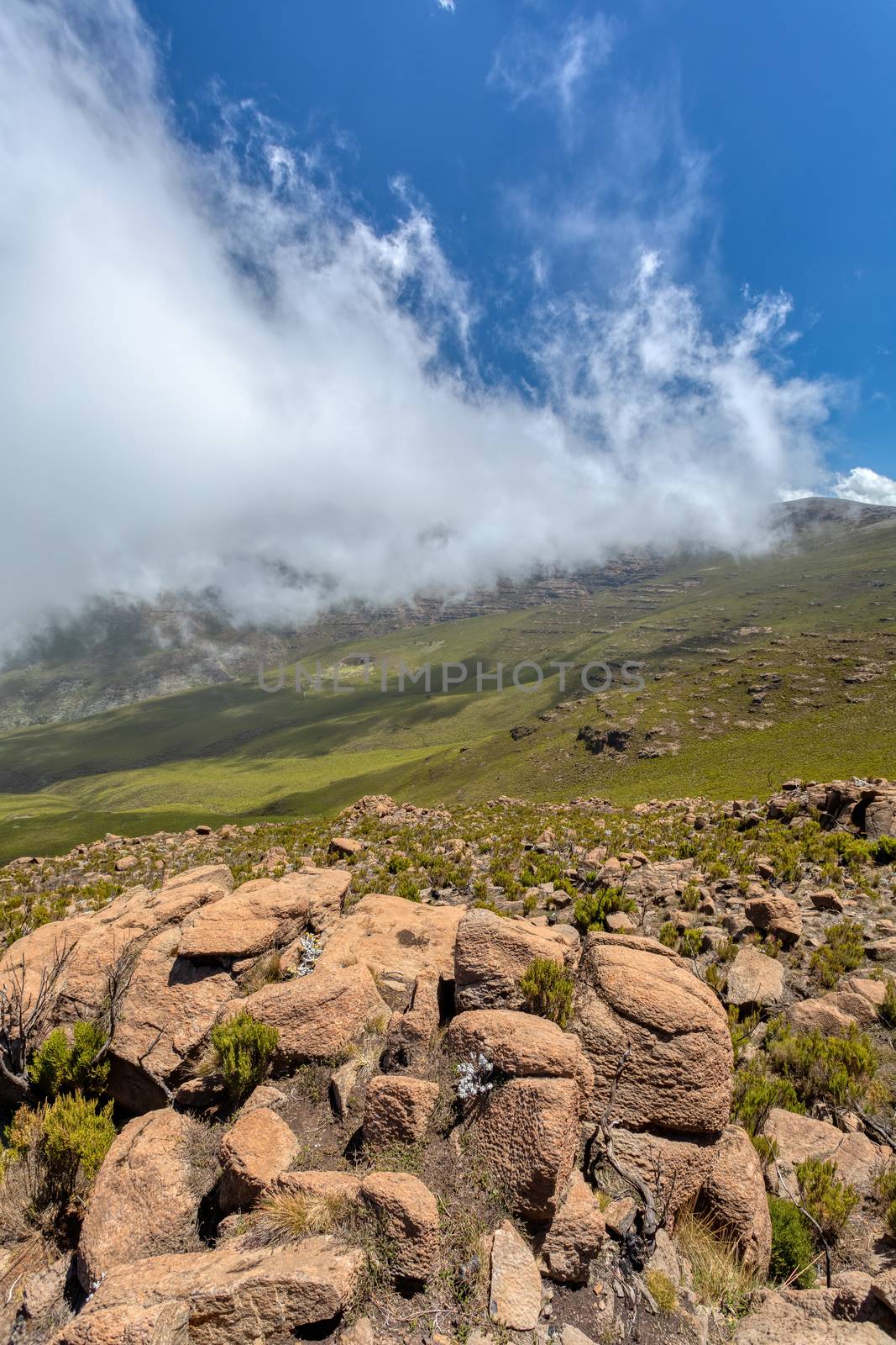 Ethiopian Bale Mountains National Park with clouds covering peak. Ethiopia wilderness pure nature. Sunny day with blue sky.