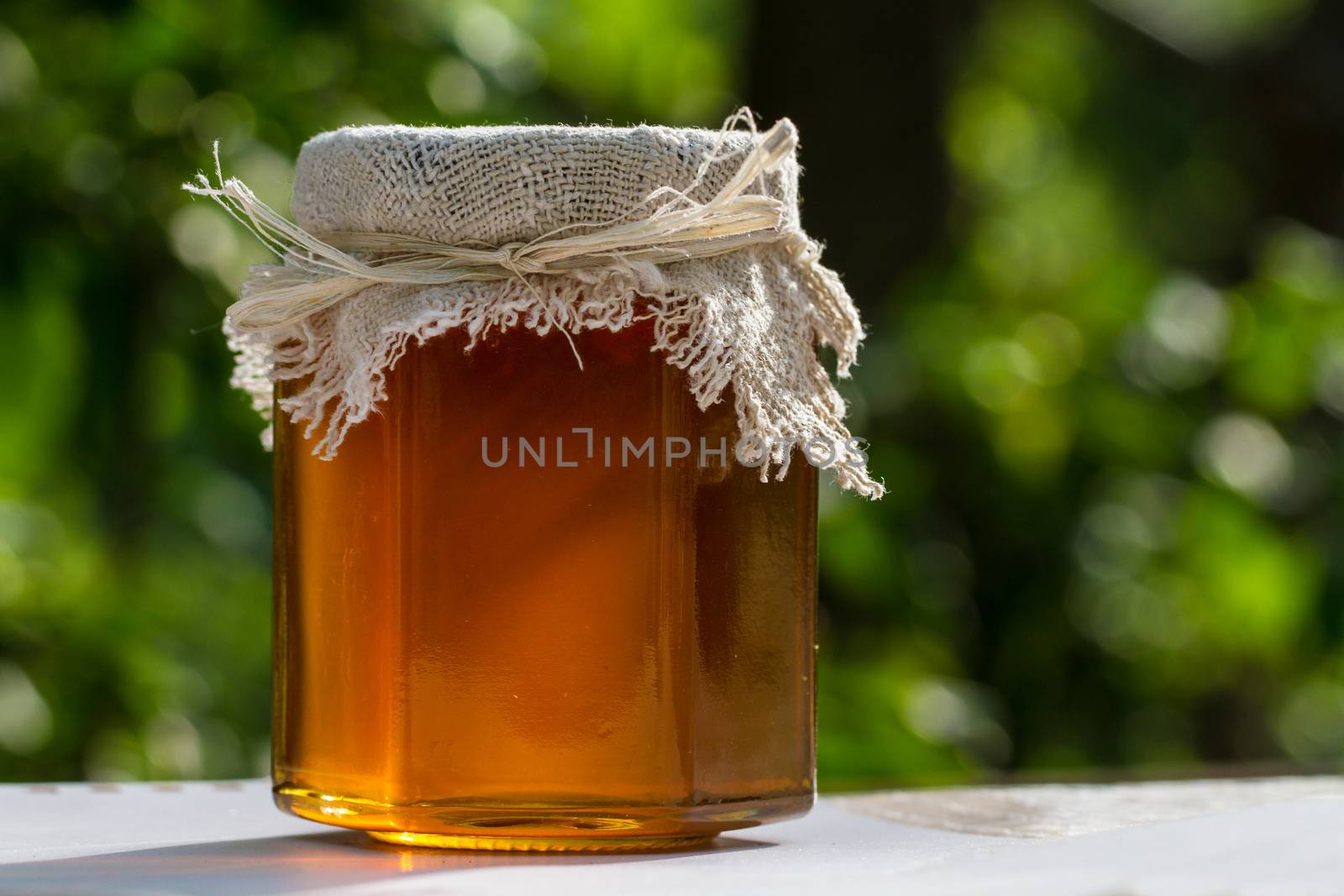 Jar with honey on table against nature background by maggee