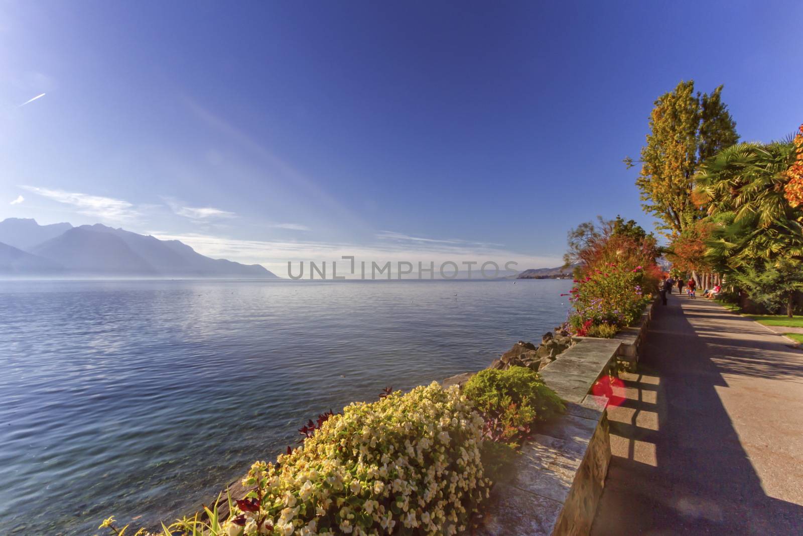 Plants and flowers on the lakeside of Geneva Leman lake at Montreux by beautiful day, Switzerland