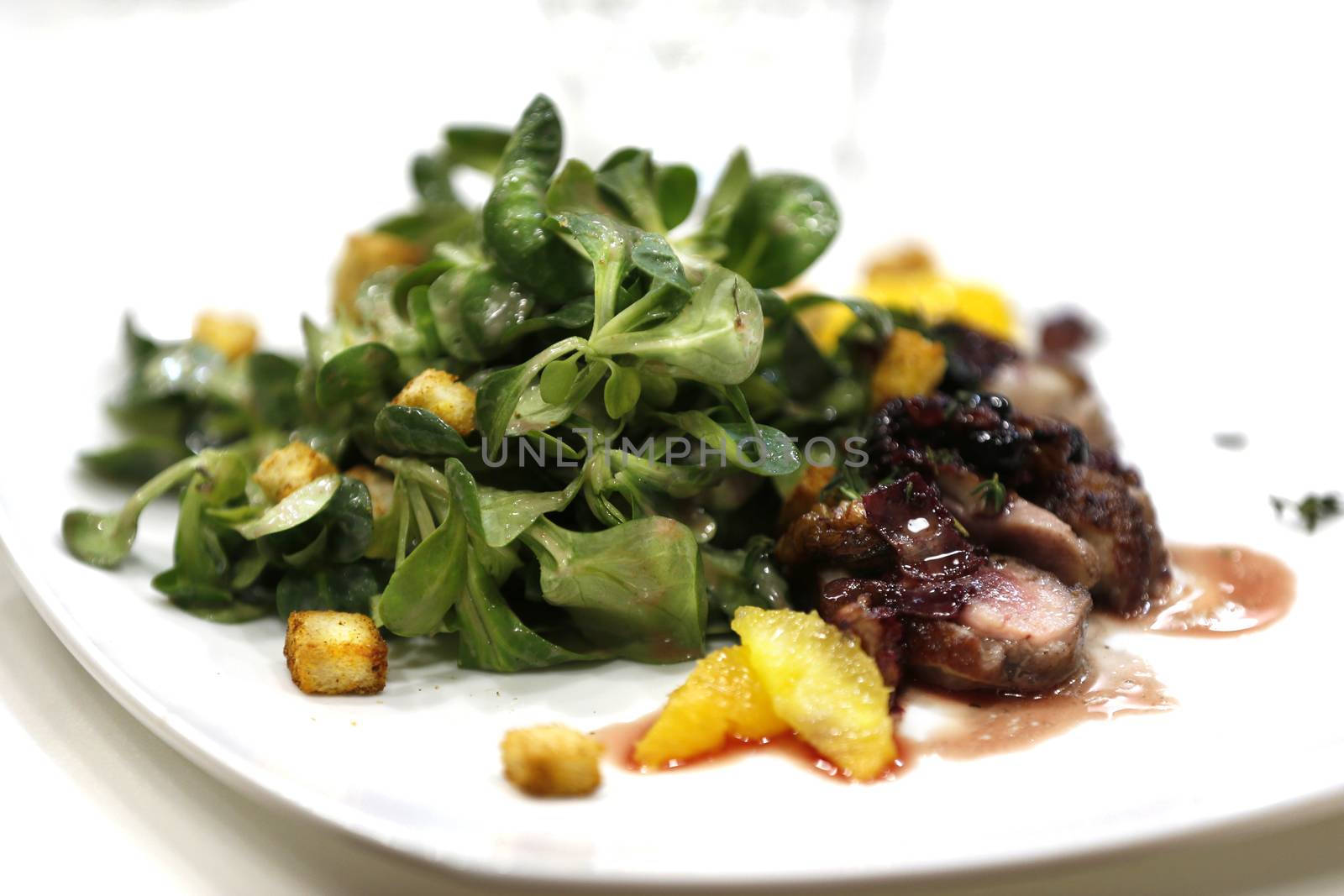 Greens with grilled meat.Beautiful food on a white plate