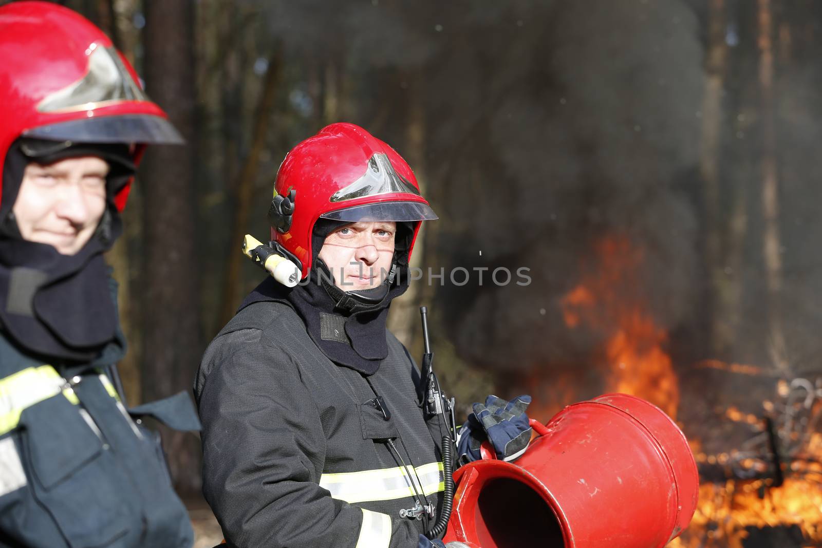 Firefighters preparing to extinguish forest fire.Extinguish the fire. Work firefighter. Fight with fire. Dangerous profession