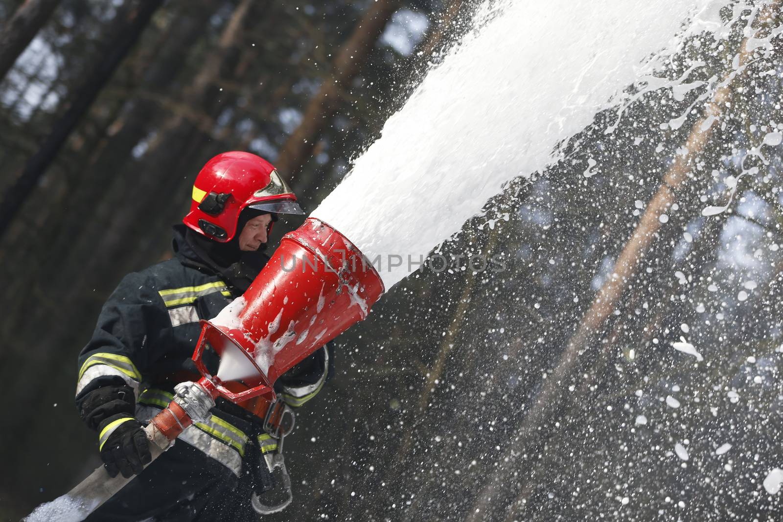 Firefighter extinguishes a fire.Forest fire. Fighting with fire.