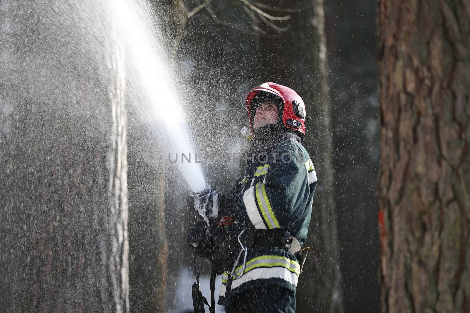 Fire man.Extinguish forest fires. Fighting fire