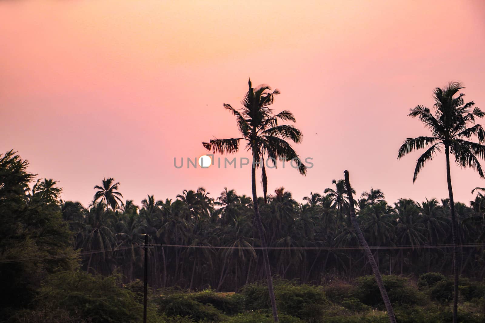 Beautiful Sunrise and Sunset View in India..