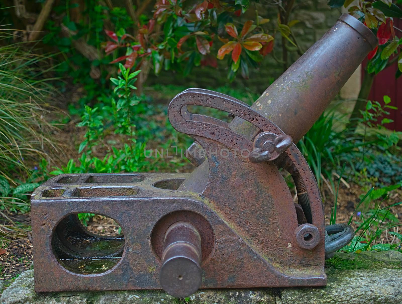 Old vintage rusted mortar canon with greenery in background by sheriffkule